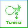 Tunisia