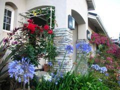 Valerie Sutton's front porch has a rose garden!