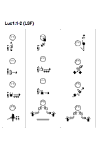 Book of Luke in Tunisian Sign Language